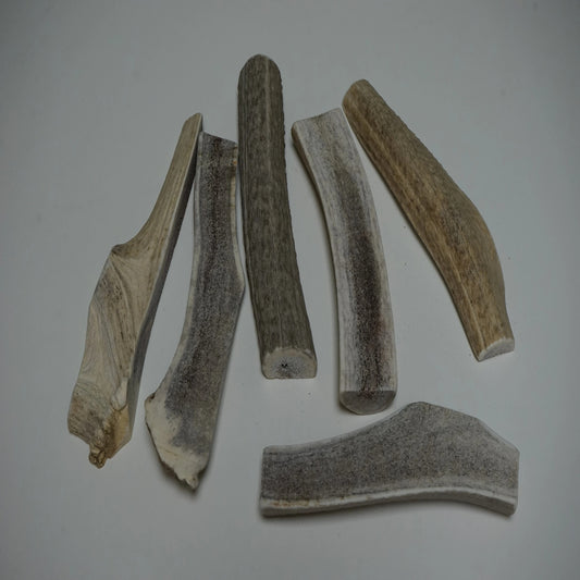 Bulk X-Large Split Economy Antler Dog Chew