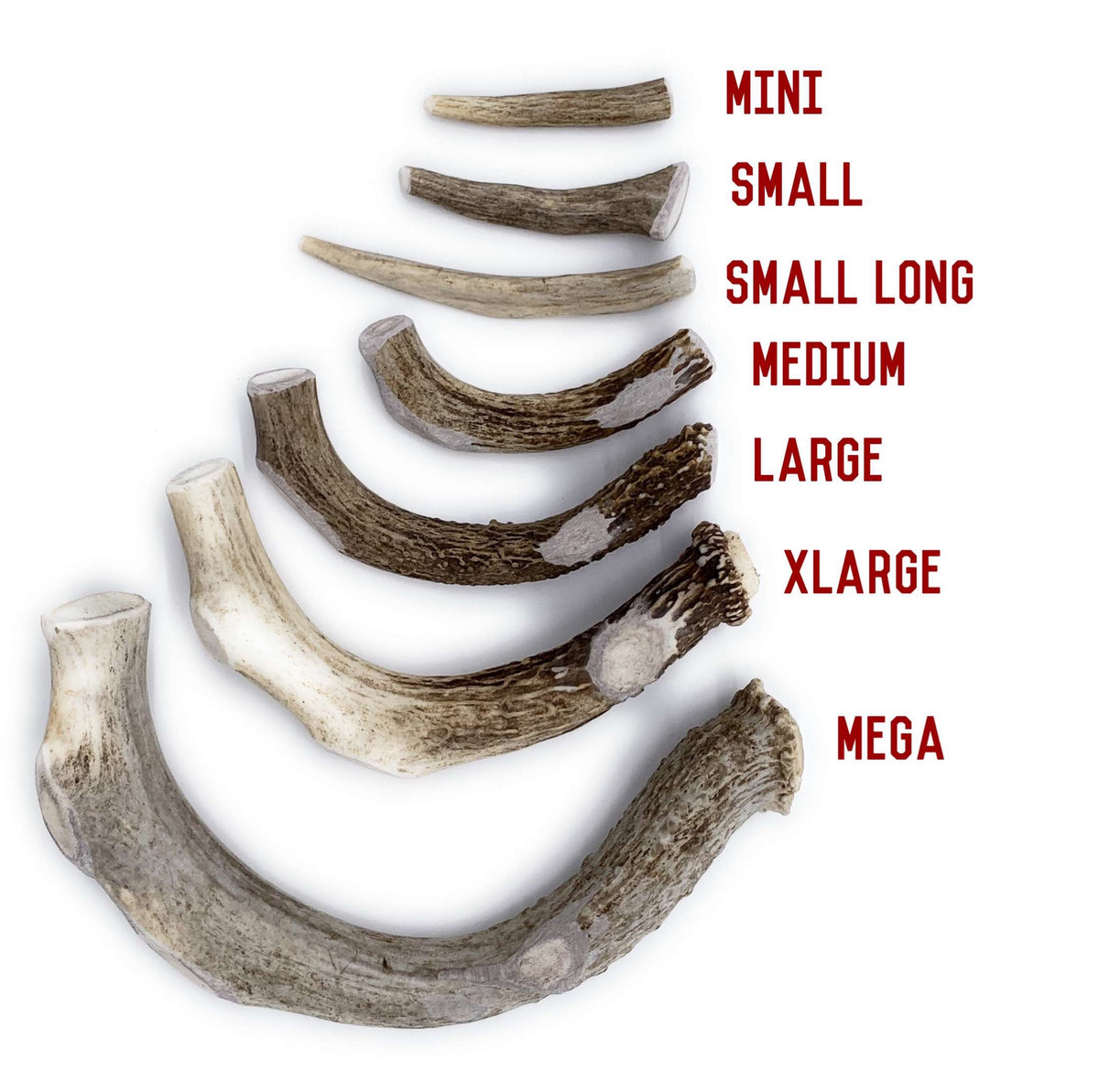 Bulk X-Large Deer Antler Dog Chew