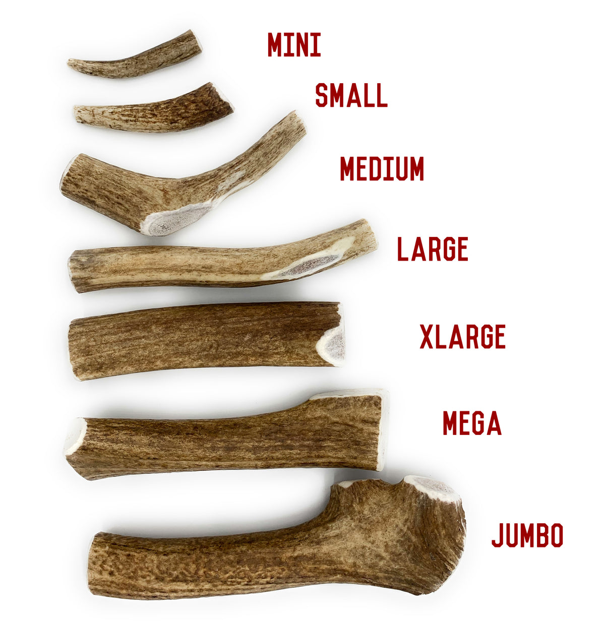 Bulk X-Large Elk Antler Dog Chew