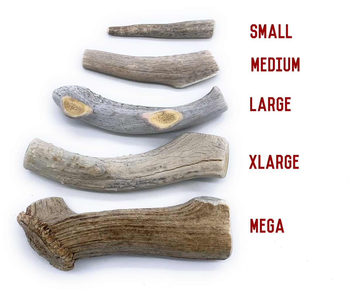 X-Large Economy Antler Dog Chew