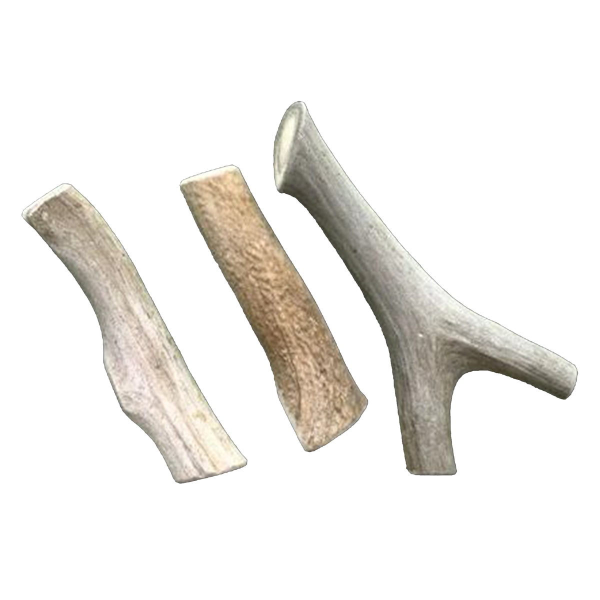 Large Economy Antler Dog Chew