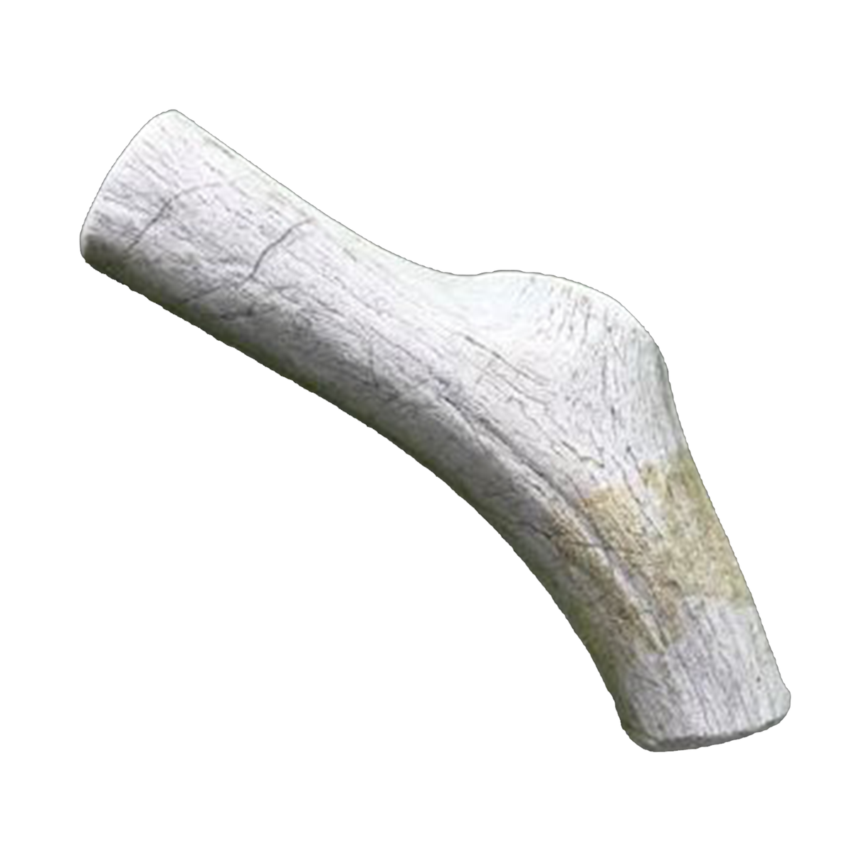 Large Economy Antler Dog Chew