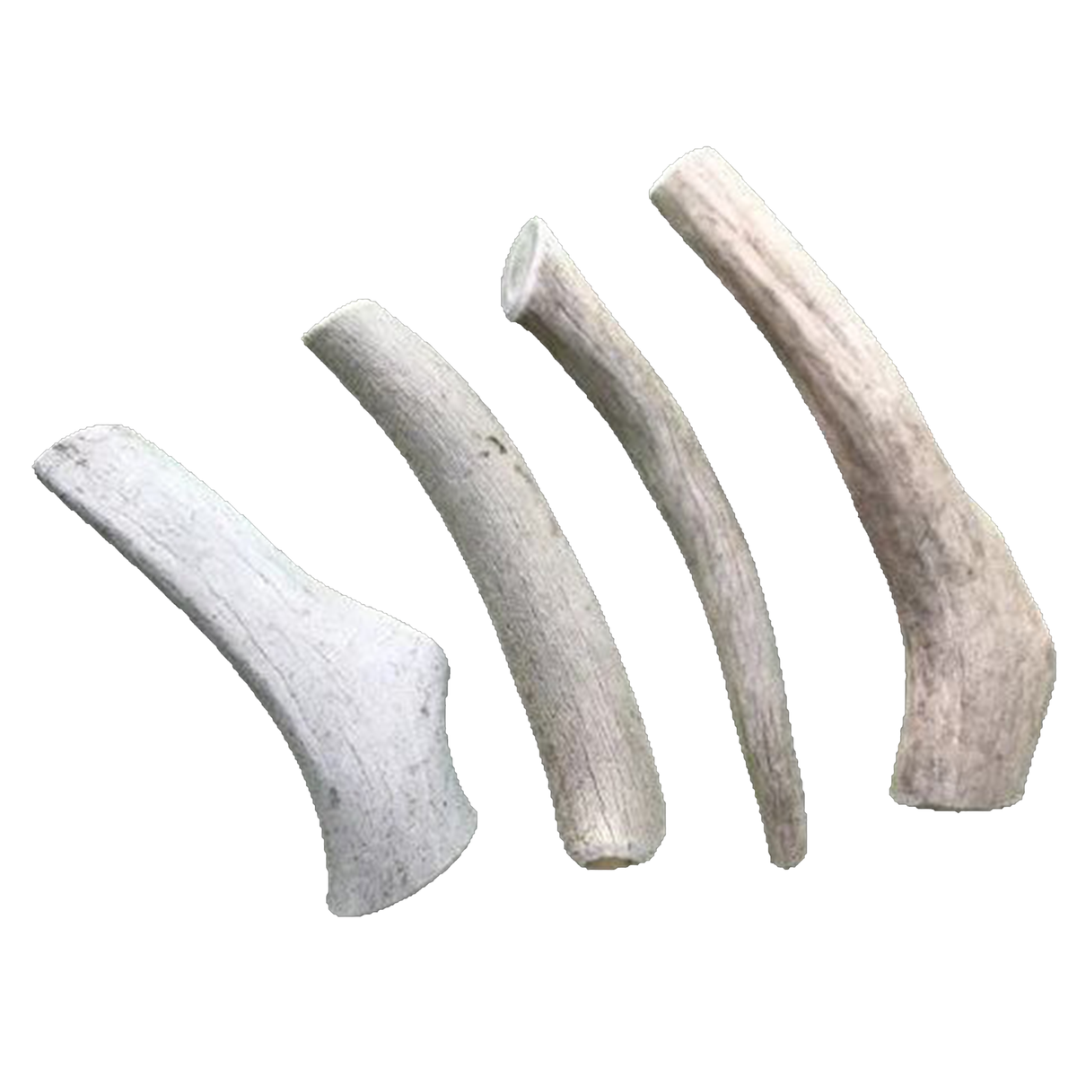 Medium Economy Antler Dog Chew