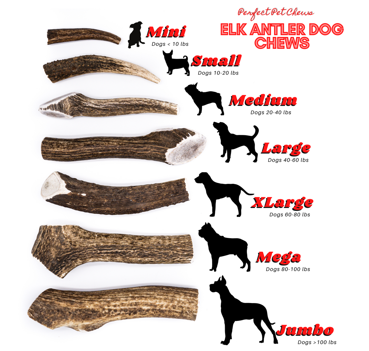 Large Elk Antler Dog Chew