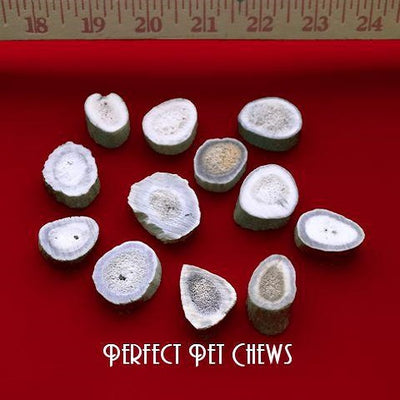 Antler Rodent Rounds (12 ct)