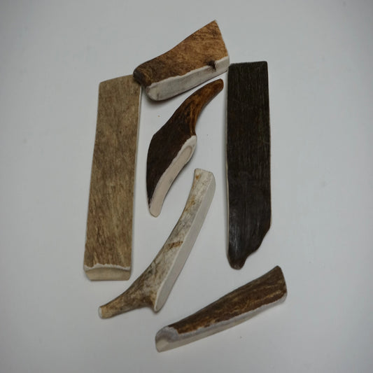 Bulk Small Moose Antler Dog Chew