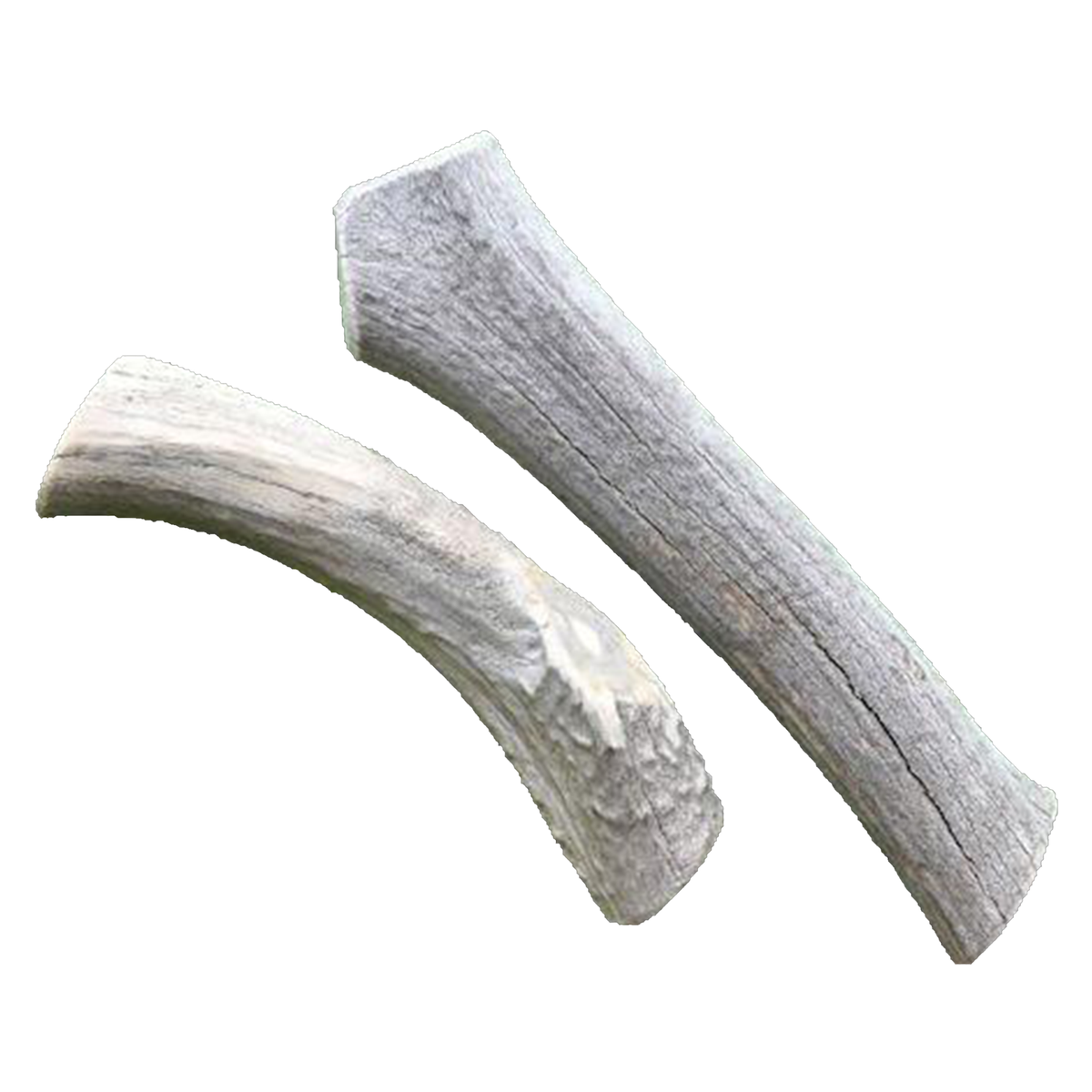 X-Large Economy Antler Dog Chew