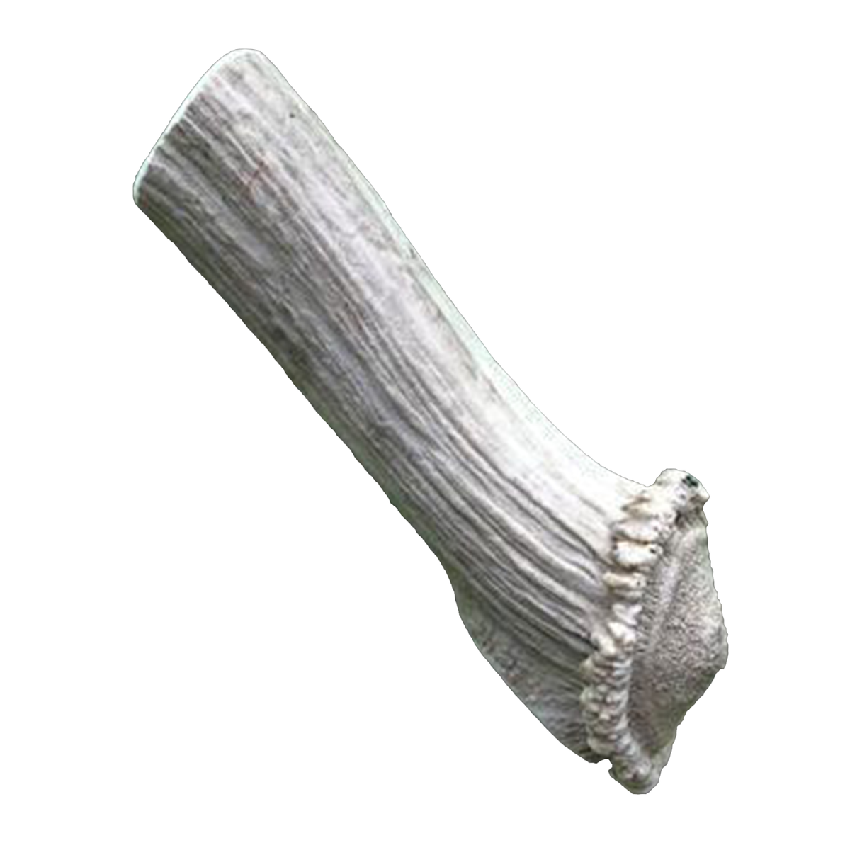 X-Large Economy Antler Dog Chew