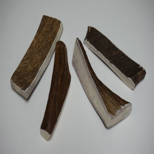 Bulk X-Large Moose Antler Dog Chew