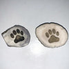 Antler Magnet with Engraved Paw Print