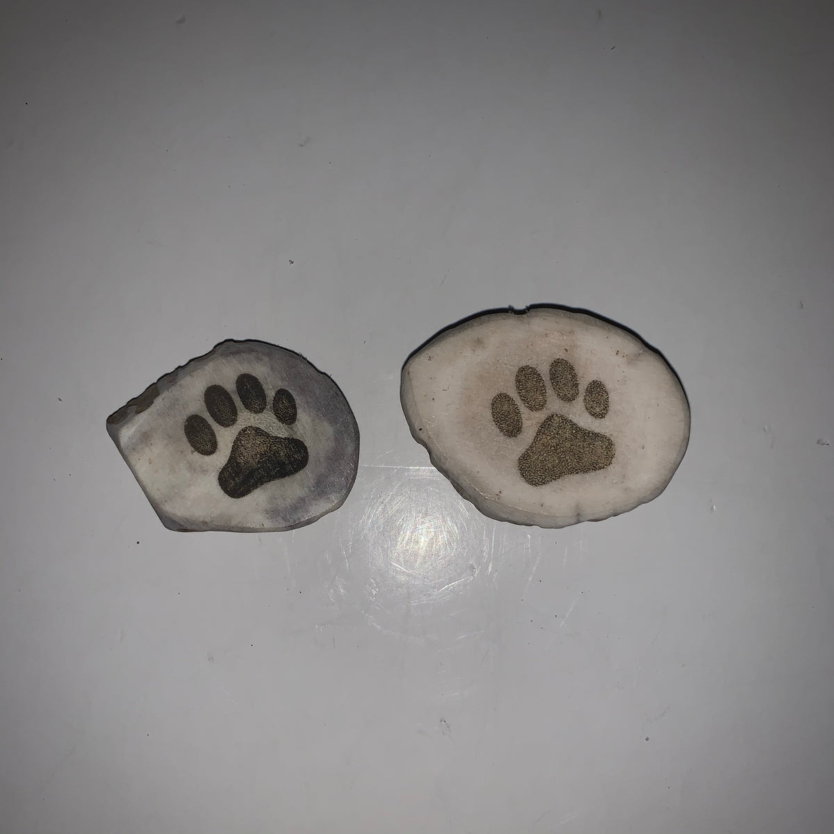 Antler Magnet with Engraved Paw Print